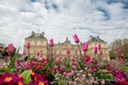 Luxembourg Palace and the Jardin du Luxembourg-1