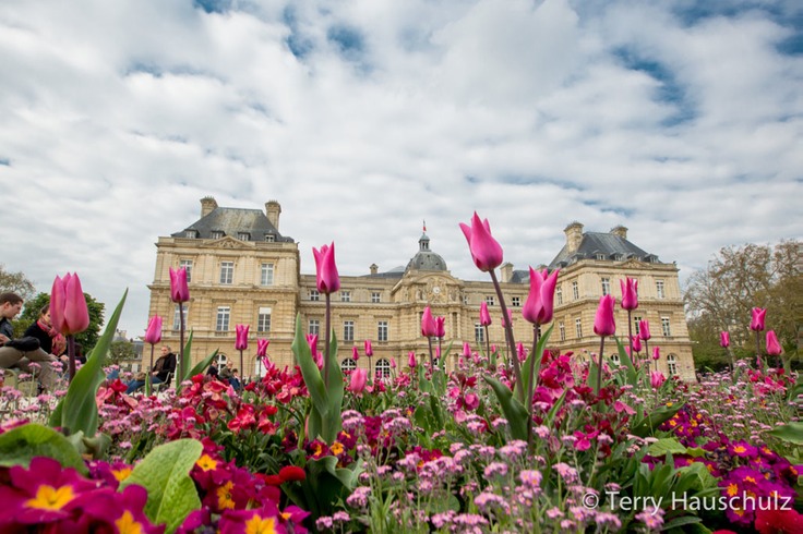 Luxembourg Palace and the Jardin du Luxembourg-1